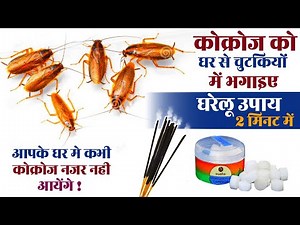 Cockroach Bhagane ka Gharelu Upay , Cockroach Marne Ka Gharelu Nuskha॥ Home Remedy Cockroach Out