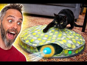 BEST Interactive Cat Toys?