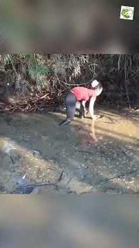Part 02 Rural Girl Drains the Pond with a Water Pump to Catch Fish #fish #fishinglife #outdoors