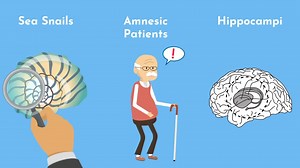 Most Effective Way to IMPROVE MEMORY (& Memorize ANYTHING)