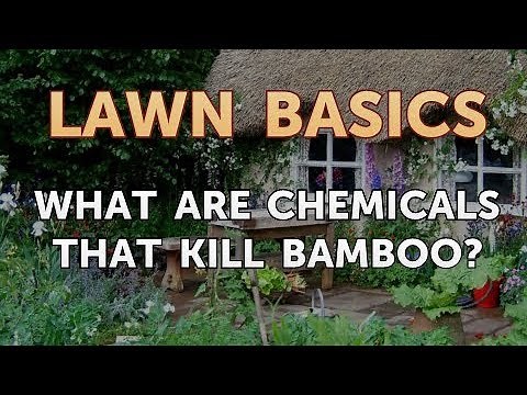 What Are Chemicals That Kill Bamboo?