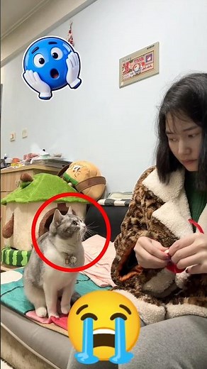 When a Cat Learns Sign Language… Incredible Bond ❤️