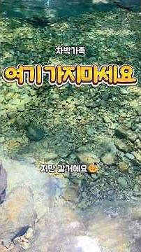 여기는 말못하는대 무료 계곡 차박 스노클링 #계곡 #계곡추천 #차박 #캠핑 #스노클링 #낚시 #차박지 #카니발#캠핑장 #스노쿨링 #노지 #가족여행 #백패킹 #여행 #계곡여행