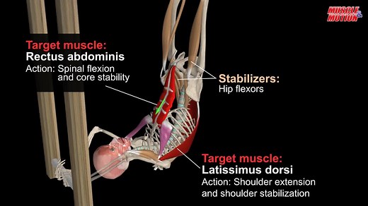 Anatomical analysis & Common mistakes The dragon flag is an advanced bodyweight core exercise. It’s important that you use proper form while doing the dragon flag. You need to make sure you are fit enough to do the exercise properly in order to avoid injury. How to do the dragon flag Get into a proper position by locking your arms in a fixed overhead position. Lift your legs up into the air with your feet, legs, and torso sturdy and in a straight line. A dragon flag is typically performed lying 