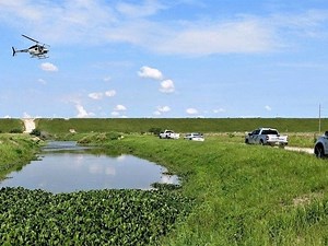 Fla. Man Already Dead From Meth When Taken By Alligator: Report