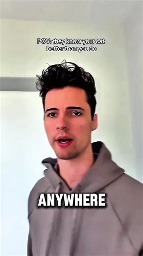 Understanding Your Cat: Insights for Cat Owners