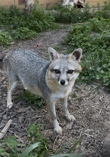 20K views · 571 reactions | What a *wild* year  One year ago, we...