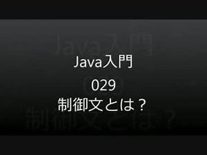 Java入門：029 制御文とは？