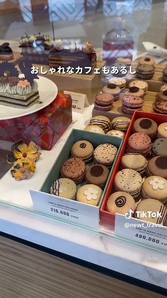 ベトナムおすすめエリア3選🇻🇳#ベトナム #ハノイ #ホーチミン #ダナン #東南アジア #おすすめ #観光 #観光スポット #リゾート #紹介 #学生 #初心者 #海外旅行 #海外 #旅行 #女子旅 #一人旅 #家族旅行 #カップル旅行 #ハネムーン #newt