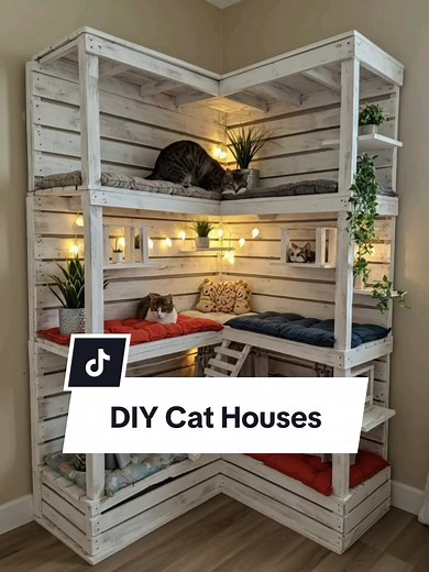 DIY Cat Tree House: Step-by-Step Building Guide