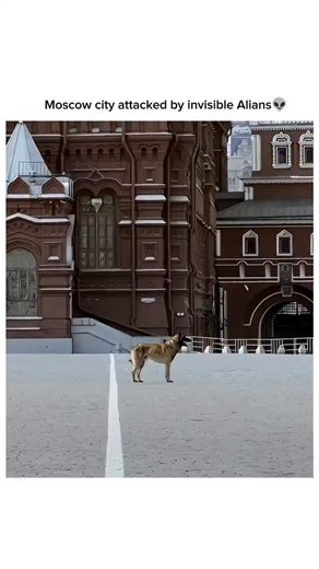 Shinobufilm on Instagram: "📺The Darkest Hour (2011 Movie) 🎥Five civilians turn heroes to save the people of Moscow city from an alien invasion. However, they soon learn that chaos is worldwide and begin to discover a way to kill the intruders 🎞️ 01 Hr 29mins•Action/Sci-fi 📈 𝐑𝐚𝐭𝐢𝐧𝐠𝐬: IMDB - 4.9/10 🍅Rotten tomatoes :-12% 🎦 𝐖𝐚𝐭𝐜𝐡 𝐨𝐧: • Telegram Link In Bio🍿 𝐅𝐨𝐥𝐥𝐨𝐰 (𝐮𝐬) @Shinobufilm 𝐟𝐨𝐫 𝐦𝐨𝐫𝐞 𝐜𝐥𝐢𝐩𝐬 𝐥𝐢𝐤𝐞 𝐭𝐡𝐢𝐬 💚🍿 . . . . #horror #adventure #Scifi #tren