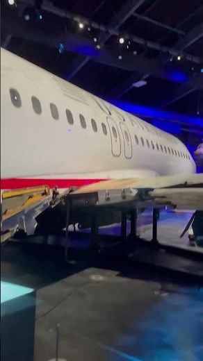 Cactus 1549 crash Hudson #aviation #landing