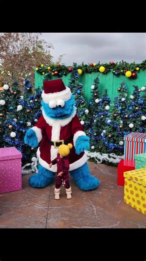 A Sesame Street Christmas Tree. Wanted to have an interactive tree that was safe for baby to play with every day. DIY'd plastic Sesame St Ornaments (all stuff from dollar tree) and filled the tree with her toys! She loved playing with the tree everyday!