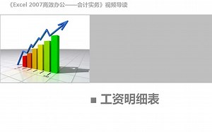 《Excel 2007高效办公——会计实务》视频教程