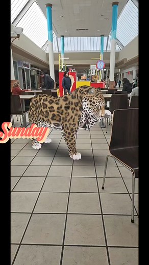 4.9K views · 14 reactions | Robert and best friend | Kim Bunnat | Facebook