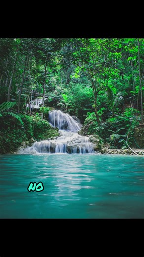 3 Psalms That Bring Healing | A Powerful Message of Faith by Billy Graham ✝️🕊️ |