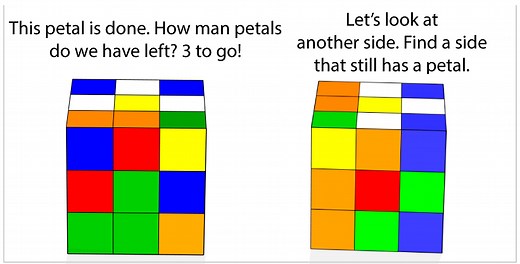 Step 2 – The White Plus