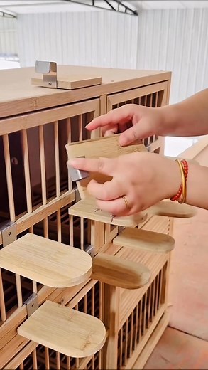 59K views · 280 reactions | Explanation of Racing Pigeon open breeding loft perch system. #reelsvideoシ #fblifestyle #racingpigeons | Amazing Loft | Facebook