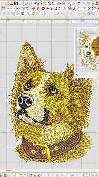 WILCOM Tutorial - Manual Stitch Effect | Caralbo Embroidery Machines