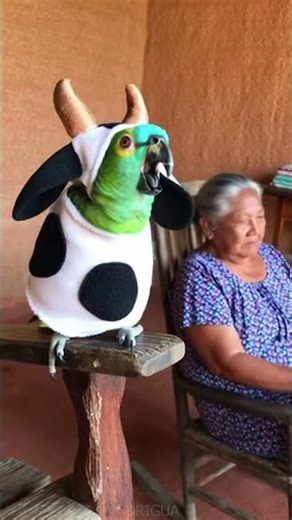 La Transformación Más Extraña Que Ha Visto La Abuela