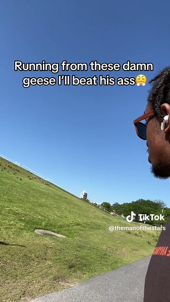 Geese Attack Compilation: Defending Against Canada Goose Aggression