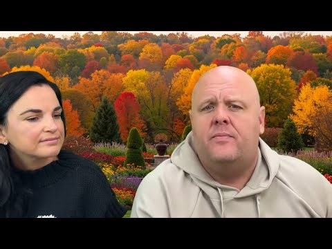 主让我看见好莱坞的复兴