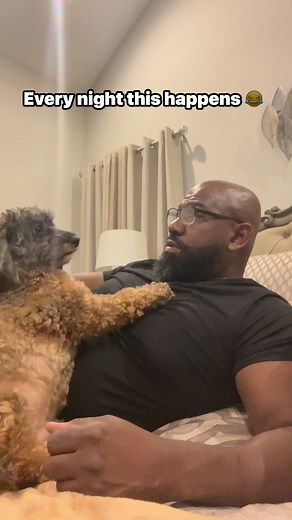 Adventures with my Cockapoo Chocko 😂 he thinks he’s King ding a ling around here lmao #fblifestyle | Buff N Blue Bullies 2