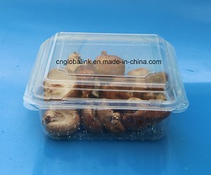 [Hot Item] Disposable Plastic Mushroom Packaging Container