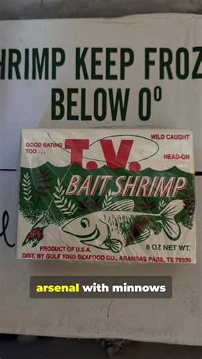 5.6K views · 34 reactions |  HOT BITE 60 – SHRIMP: THE UNDERRATED...