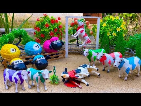 Proses Potong Sapi Qurban !! Wadidaw Proses Cow Cartoon