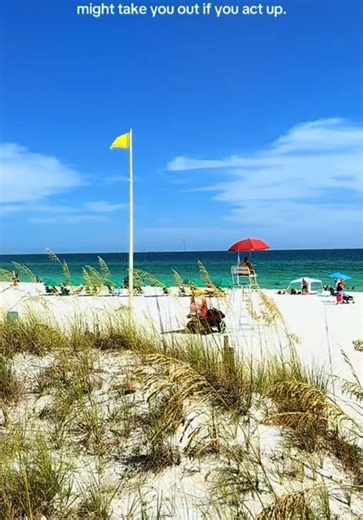 Understanding Florida Beach Flags and Their Meanings