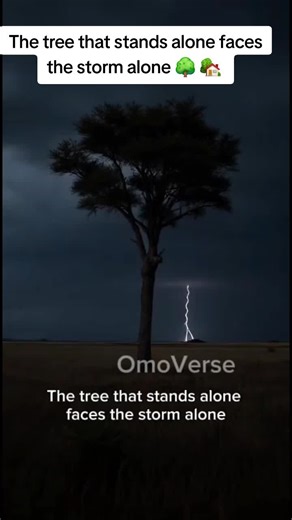 The tree that stands alone faces the storm alone 😔 🌳🏡 #africanfolktalestories #africanfolktales #AfricanStories #africanwisdom #wisewords