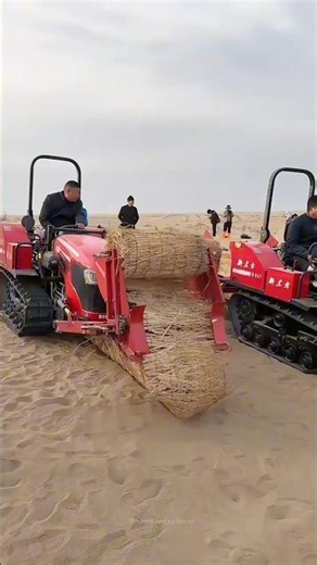 Inside China’s Amazing Desert-to-Green Project 🏜️🇨🇳 #shorts