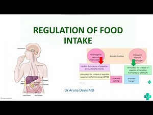 PHYSIOLOGY OF REGULATION OF FOOD INTAKE/ MBBS / First Year