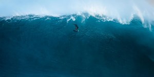 Jaws welcomes the new year in a huge way