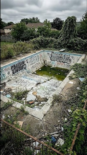 From Abandoned Pool to Strawberry Paradise 🍓✨