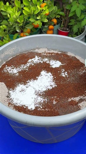 Como usar estos abonos en las plantas