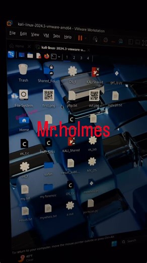 Pro_X_Brothers on Instagram: "Mr.holmes. #cybersecurity #terminal #kalilinux #mrholmes #osinttools #foryou"
