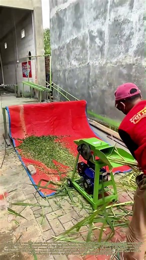 Slashing Straw: How a Small Machine Transforms Field Waste into Feed