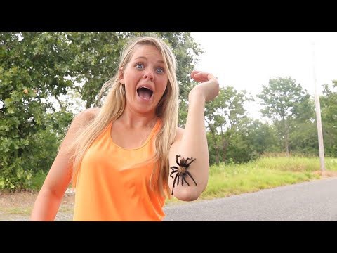 She Caught a Giant Tarantula While Fishing!