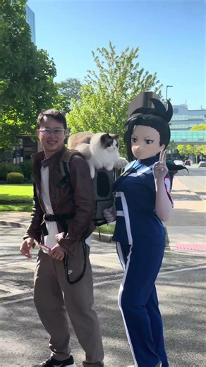 Cat meeting a hero #myheroacademia #cat #catdad