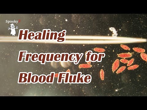 Healing Frequency for Blood Flukes - Spooky2 Rife Frequency Healing.