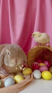 GIF Slike - E on Reels