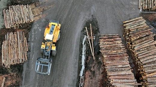 Separating fact from fiction in the U.S.-Canada softwood lumber trade war