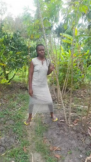 #cassava dance #hilightseveryonefollowers2025 #everyoneactivefollowersシfypシ゚viralシalシ | Connie Woks