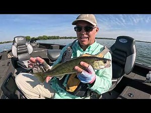 Casting for Fall Walleyes in Skinny Water - Winnebago Style