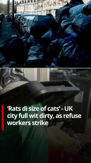 Strikes by refuse workers for Birmingham don lead to situation wia dustbin heap nearly 2m high for streets and pipo dey report say dem see rats wey big like cats. Di on and off strike start for January, but just over one week ago di workers stop to dey collect bins altogether, inside one quarrel over pay and working conditions wit di council. | BBC News Pidgin