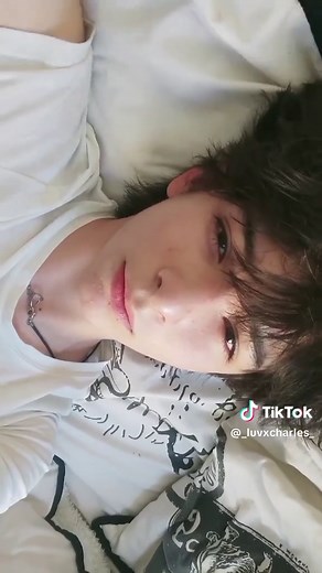 Meow Sounds of Cats: Enjoy the Best Cat Meow Compilations