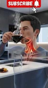 What Happens When You Drink Coffee? | Coffee Effects on Human Body | 3D Animation #shortvideo