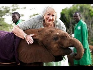 Africa's Elephant Queen | Kenya